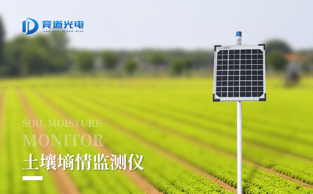 ��ʽ����������վ���ļ���������ɣ�����������ʲô����