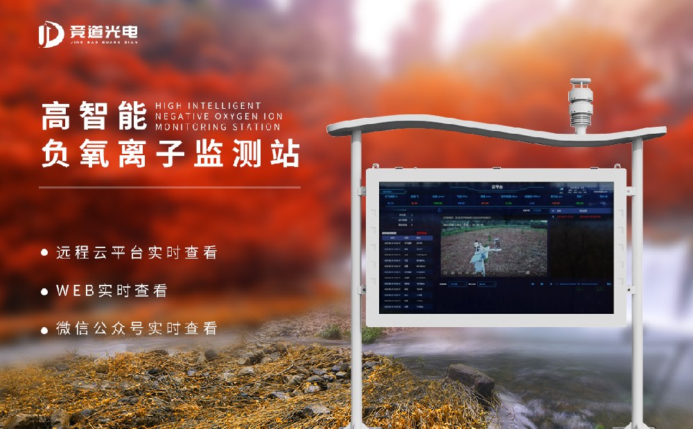  负氧离子在线监测系统哪个厂家好