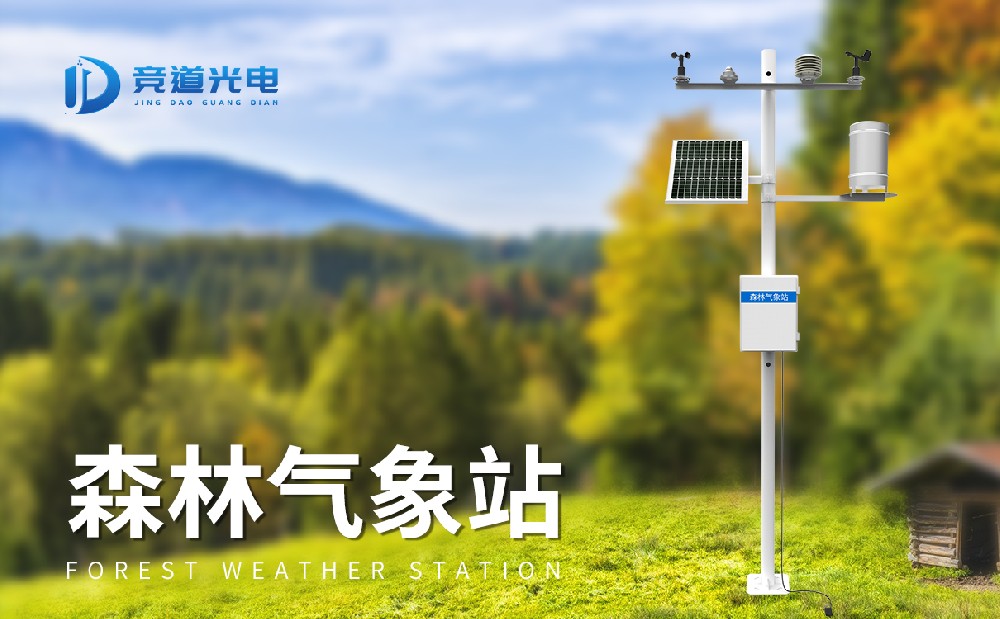 ɭ�����μ��վ