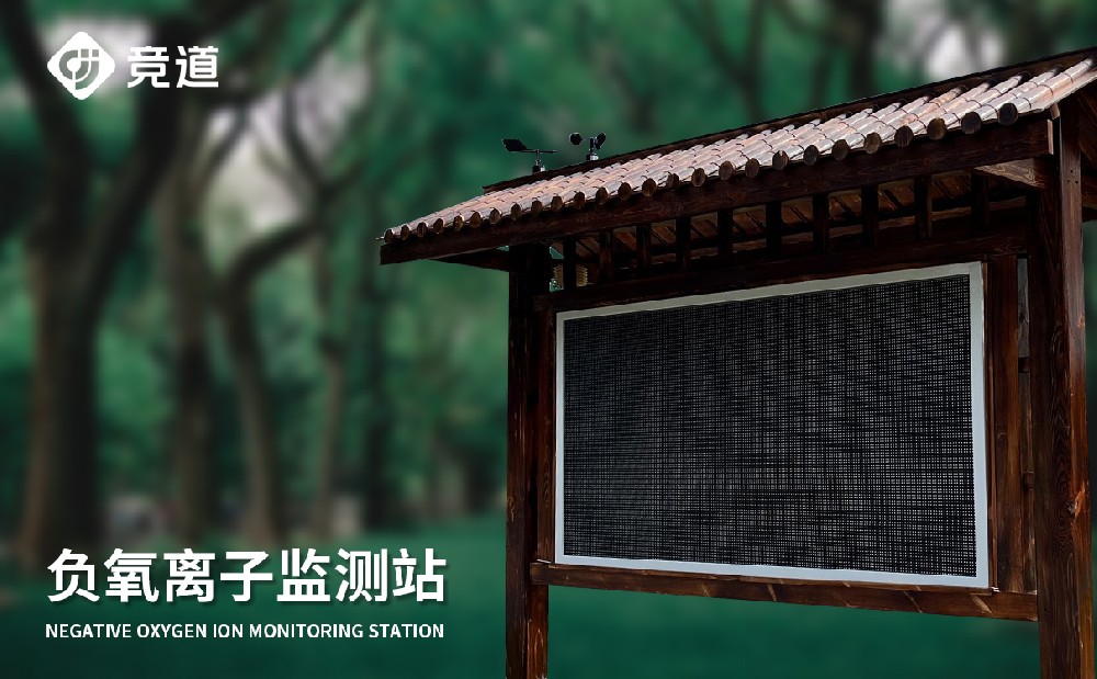 �������Ӽ��վ