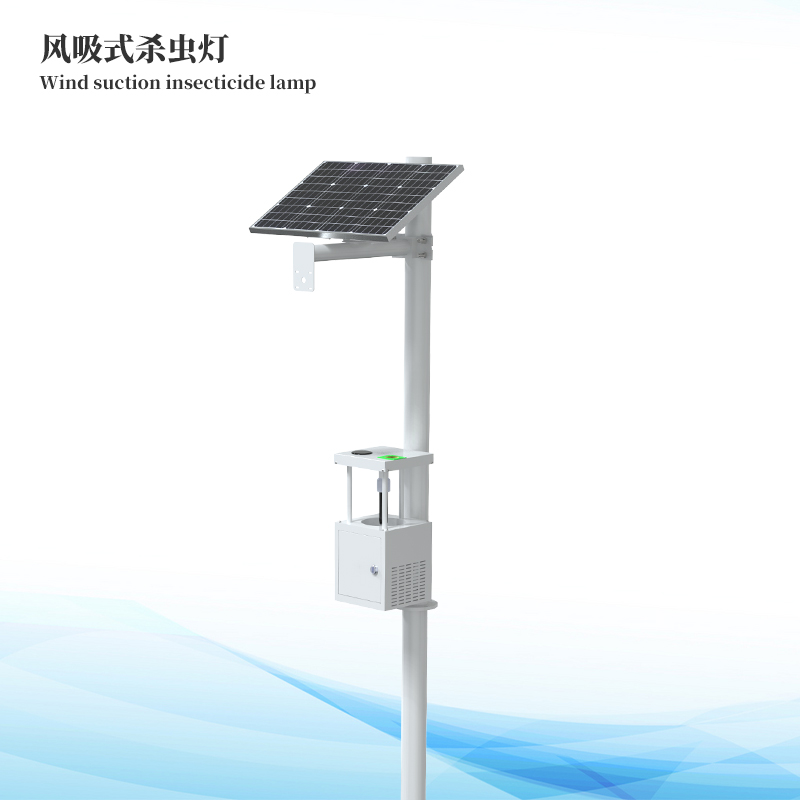 ����ʽ̫����ɱ���