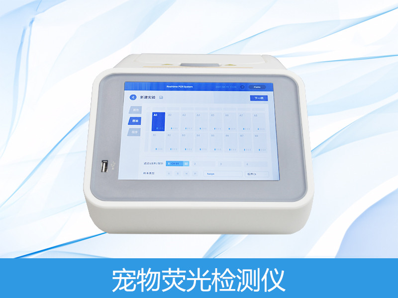 ����ӫ������