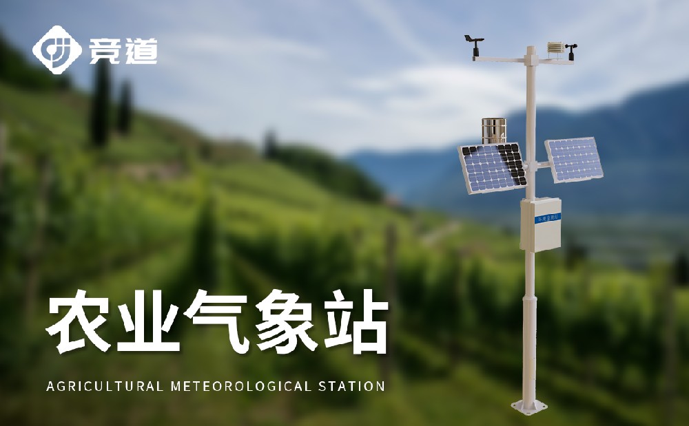 ũҵ����վ�������������������