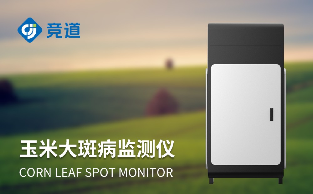 ���״�߲������