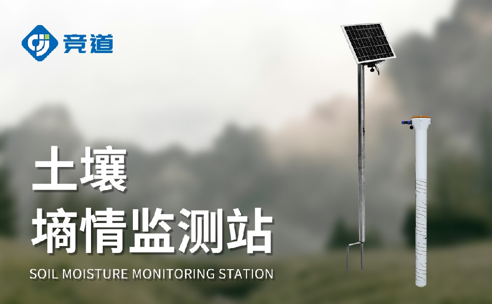 ¹ÜʽÍÁÈÀÉÊÇé¼à²âÒÇ