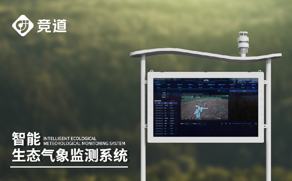 �������Ӽ����