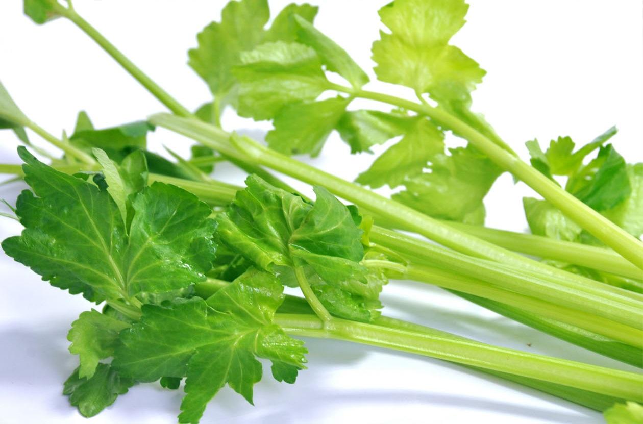 �߲��Ǹ���������������Щ��λҲ���ã�