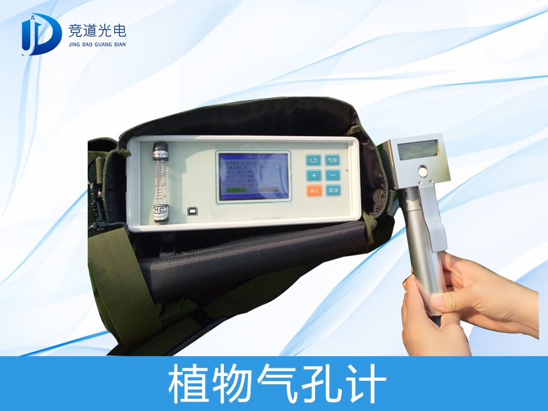 ֲ�����׼���ʲô������