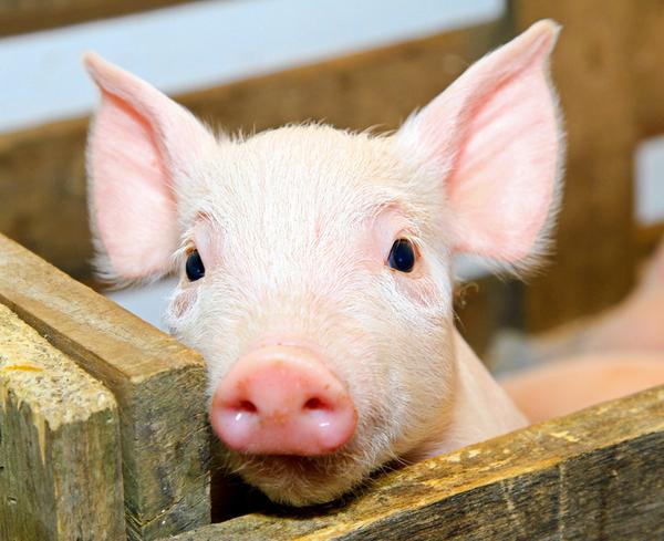 �����������������Щ�ͺ�����������