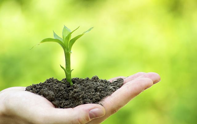 �����������Ʒ���ļҺ�������