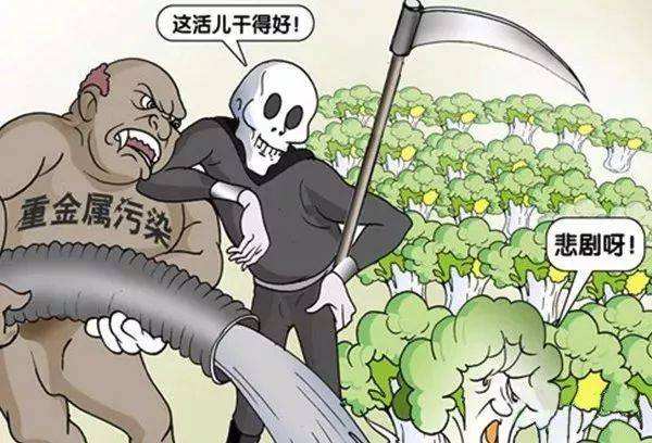 ��ʳ�徲������ð�������������