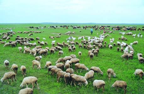 ��ԭ��̬����վ����