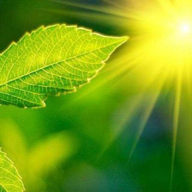 便携式光相助用测定仪操作注重事项