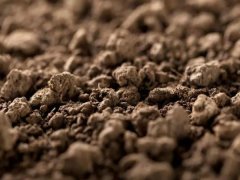 �������ּ���Ǽ�Ǯ�Ǽ��ࣿ��������