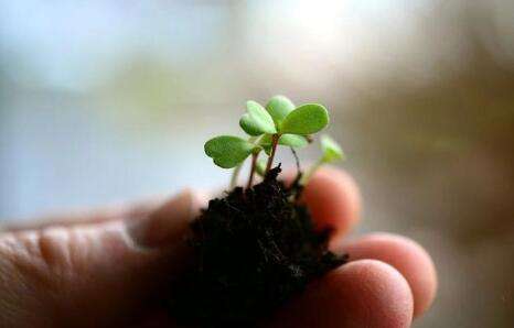 �����䷽�������Ҽ�Ǯ