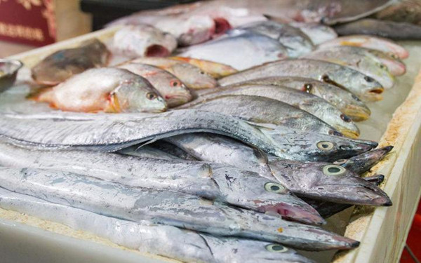 Ë®²úÆ·Ò©Îï²ÐÁô¼ì²âÒÇ Ë®²úÆ·Ò©Îï²ÐÁô¼ì²âÒÇ