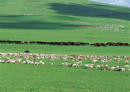 ²ÝÔÆøÏóÇéÐμà²âϵͳ ²ÝÔÆøÏóÇéÐμà²âϵͳ