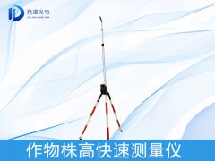 �������������ʲô������������������������