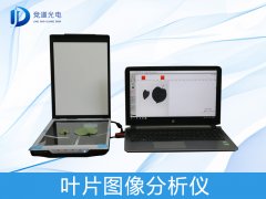 ҶƬͼ��������������������