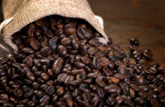 ���Ȳ��٣�����������������ʳ���徲